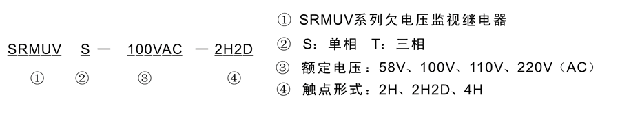 SRMUVS-110VAC-2H2D型號及（jí）其含義